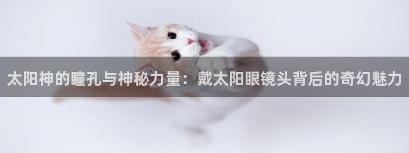 新宝5下载软件