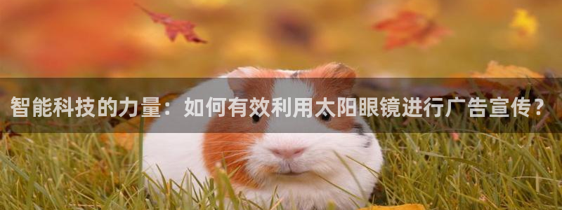 有人知道新宝5么