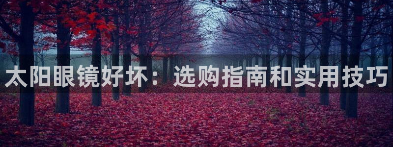 新宝5娱乐登陆