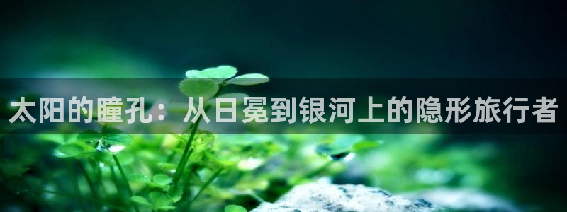 新宝5现在还能玩吗