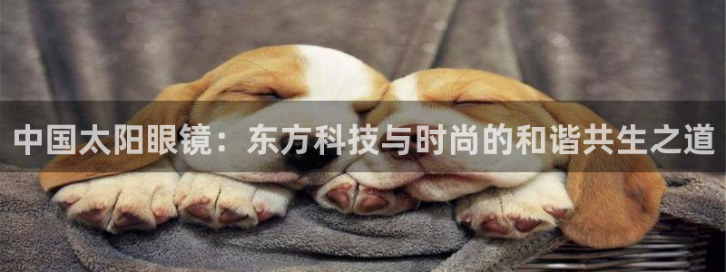 新宝5网址