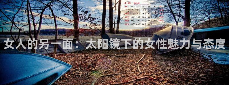 新宝5球维33 300