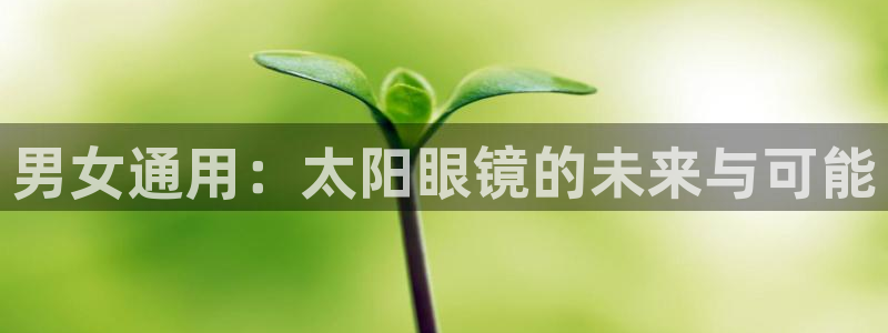 新宝5可靠吗