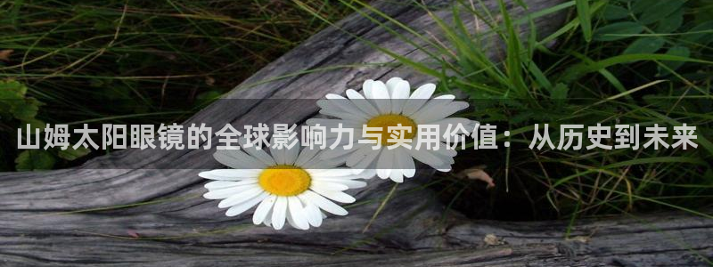 新宝5娱乐经