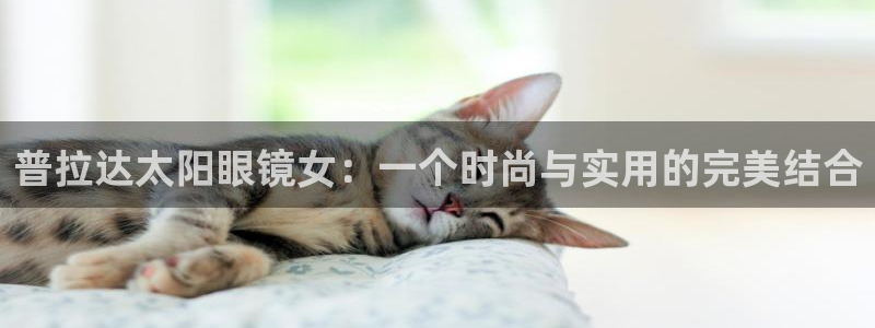 新宝5平台