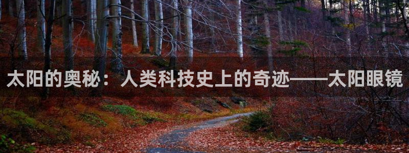 新宝5娱乐注
