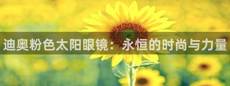 新宝5测速登陆