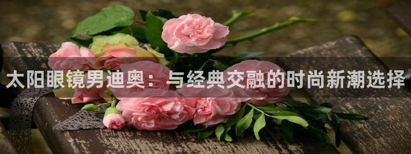 新宝5登陆地址