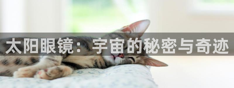 新宝5源码
