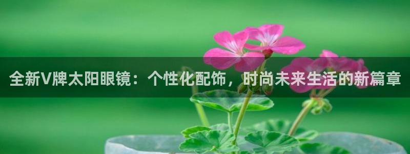 新宝5娱乐