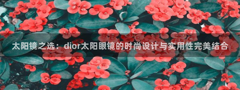新宝5的网址