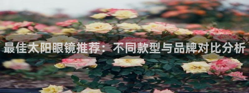 新宝堂新会陈皮5年